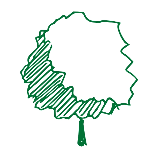 Summer Branch Drop